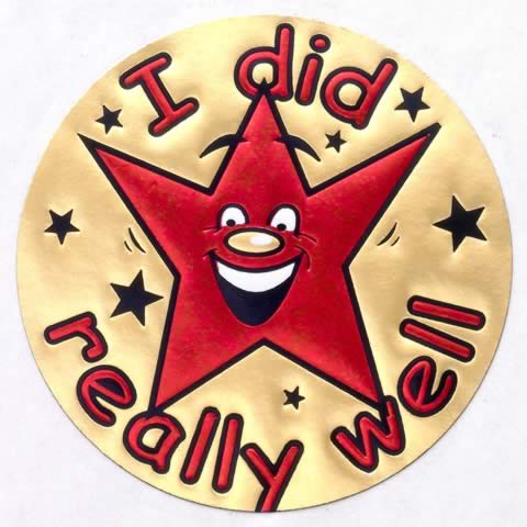 Metallic 'I did really well' sticker