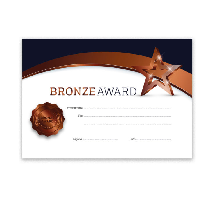 Bronze Award Certificates School Merit Stickers