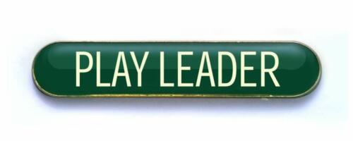 PLAY LEADER badge green (pack of 5)