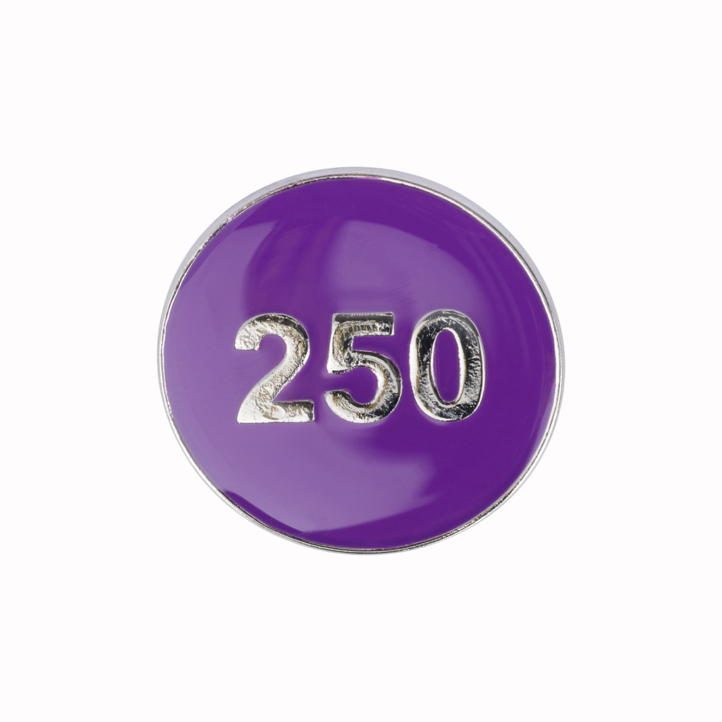 250 House Point Enamel Badges