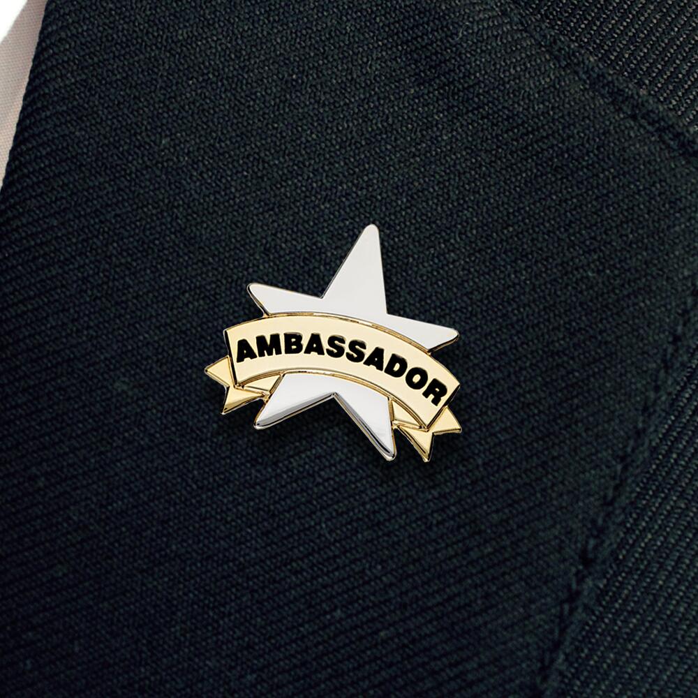 Ambassador School Badge - School Merit Stickers