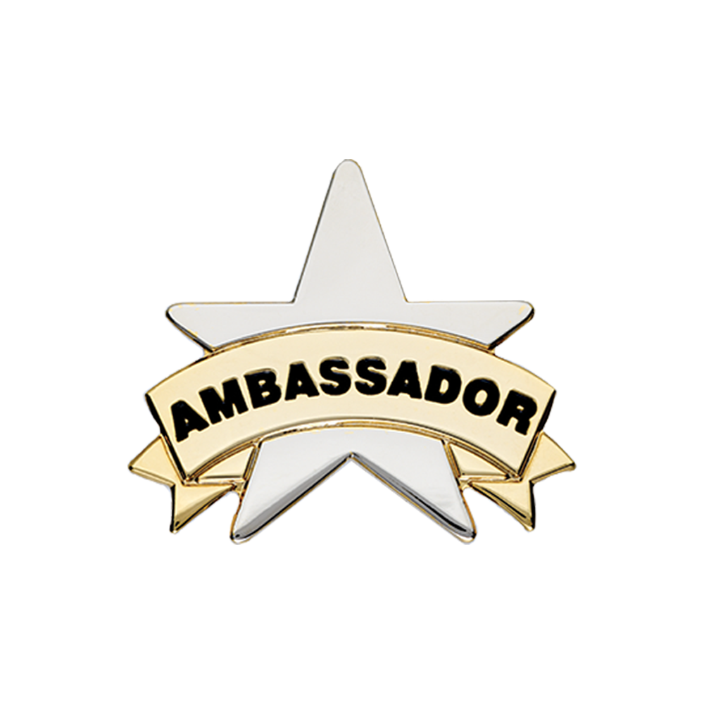 Ambassador School Badge - School Merit Stickers