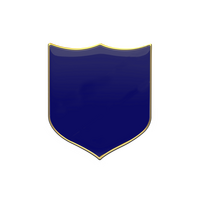 PLAIN classic shield badge (pack of 5)